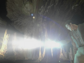 Pitfall 3D screenshot 4 for Playstation